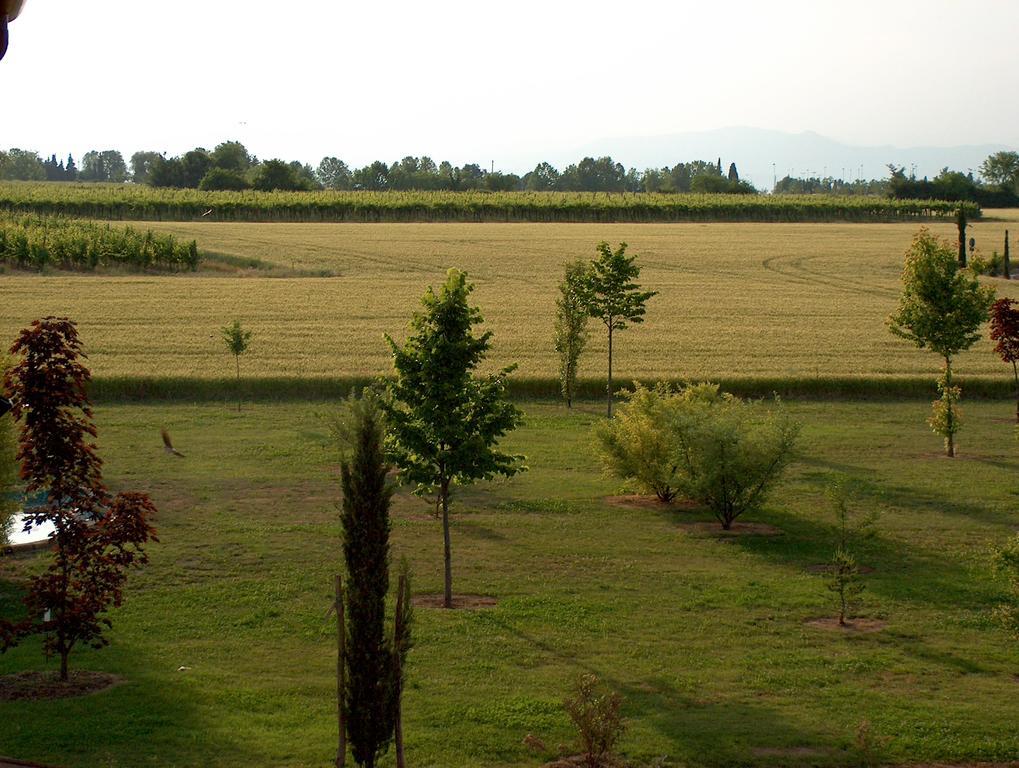 Вилла Agriturismo Le Fornase Кастельнуово-дель-Гарда Экстерьер фото